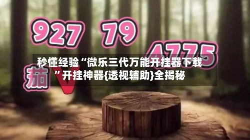 秒懂经验“微乐三代万能开挂器下载”开挂神器{透视辅助}全揭秘-第2张图片