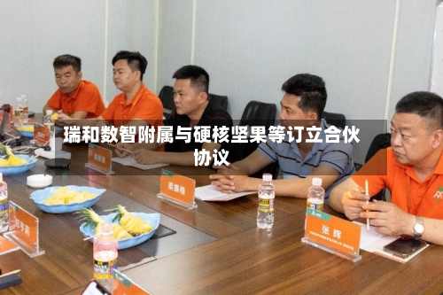 瑞和数智附属与硬核坚果等订立合伙协议