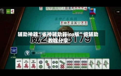 辅助神器“雀神辅助器ios版	”细辅助教程分享-第3张图片