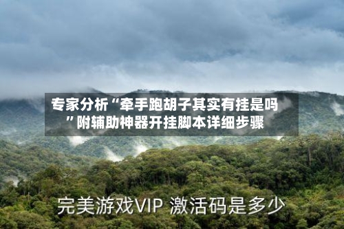 专家分析“牵手跑胡子其实有挂是吗	”附辅助神器开挂脚本详细步骤-第2张图片