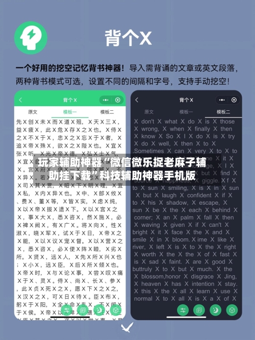 玩家辅助神器“微信微乐捉老麻子辅助挂下载”科技辅助神器手机版-第3张图片