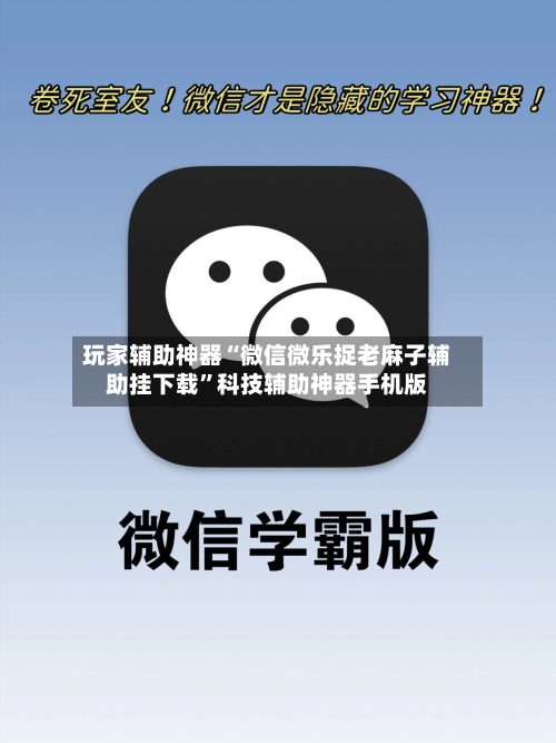 玩家辅助神器“微信微乐捉老麻子辅助挂下载”科技辅助神器手机版-第2张图片