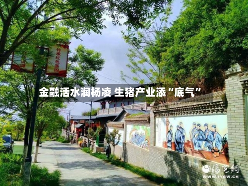 金融活水润杨凌 生猪产业添“底气”