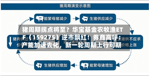 猪周期拐点将至？华宝基金农牧渔ETF（159275）逆市飘红！券商高呼：产能加速去化，新一轮周期上行可期-第2张图片