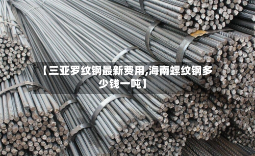 【三亚罗纹钢最新费用,海南螺纹钢多少钱一吨】
