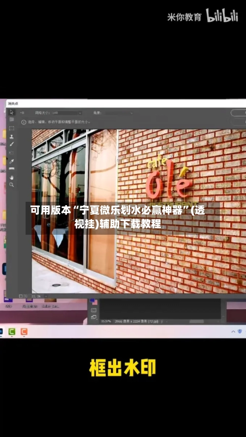 可用版本“宁夏微乐划水必赢神器”(透视挂)辅助下载教程