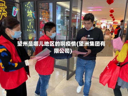 望州是哪儿地区的啊疫情(望洲集团有限公司)