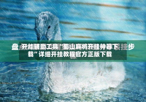 开挂辅助工具“蜀山麻将开挂神器下载”详细开挂教程官方正版下载