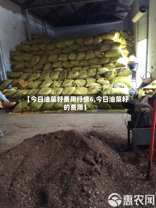 【今日油菜籽费用行情6,今日油菜籽的费用】