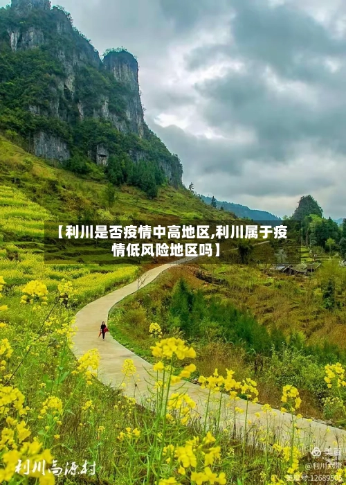 【利川是否疫情中高地区,利川属于疫情低风险地区吗】