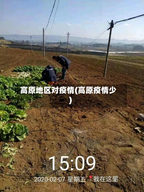 高原地区对疫情(高原疫情少)-第2张图片