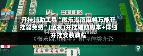 开挂辅助工具“微乐湖南麻将万能开挂器免费	”(透视)开挂辅助脚本+详细开挂安装教程-第2张图片