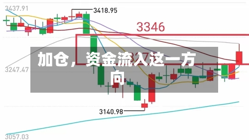 加仓，资金流入这一方向