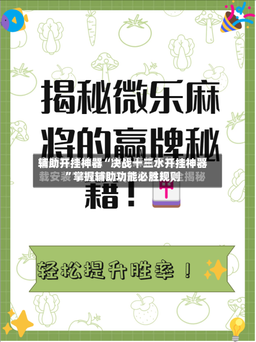 辅助开挂神器“决战十三水开挂神器”掌握辅助功能必胜规则-第3张图片