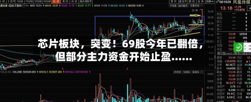 芯片板块，突变！69股今年已翻倍，但部分主力资金开始止盈......