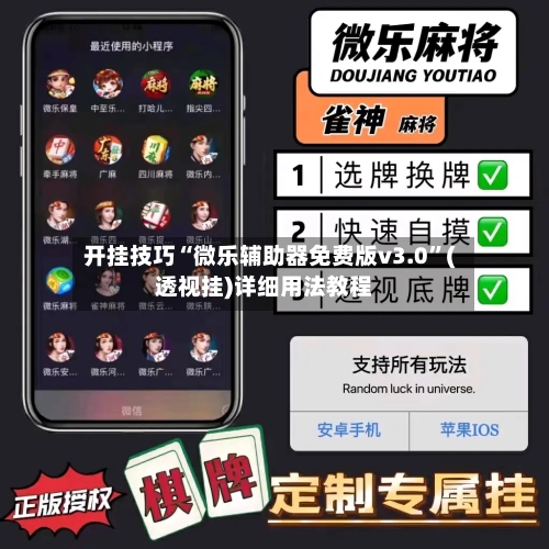 开挂技巧“微乐辅助器免费版v3.0”(透视挂)详细用法教程