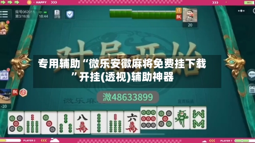 专用辅助“微乐安徽麻将免费挂下载”开挂(透视)辅助神器-第3张图片
