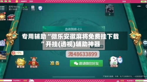 专用辅助“微乐安徽麻将免费挂下载”开挂(透视)辅助神器-第2张图片