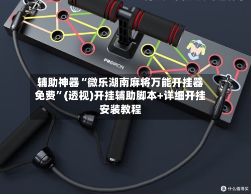 辅助神器“微乐湖南麻将万能开挂器免费	”(透视)开挂辅助脚本+详细开挂安装教程-第2张图片