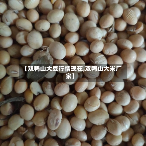 【双鸭山大豆行情现在,双鸭山大米厂家】
