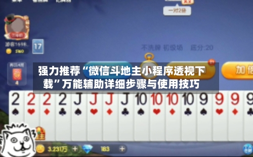 强力推荐“微信斗地主小程序透视下载”万能辅助详细步骤与使用技巧-第3张图片
