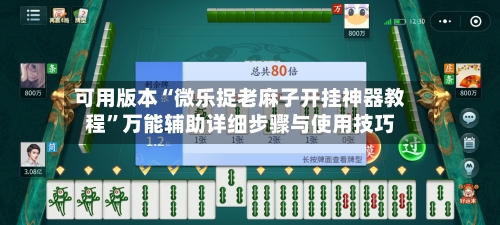 可用版本“微乐捉老麻子开挂神器教程”万能辅助详细步骤与使用技巧