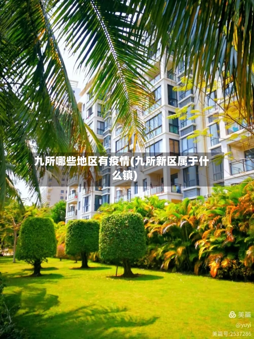 九所哪些地区有疫情(九所新区属于什么镇)-第2张图片