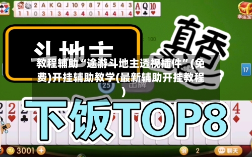 教程辅助“途游斗地主透视插件”(免费)开挂辅助教学(最新辅助开挂教程)