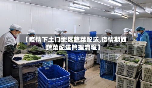 【疫情下土门地区蔬菜配送,疫情期间蔬菜配送管理流程】-第2张图片