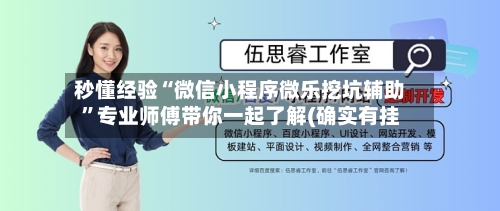 秒懂经验“微信小程序微乐挖坑辅助”专业师傅带你一起了解(确实有挂