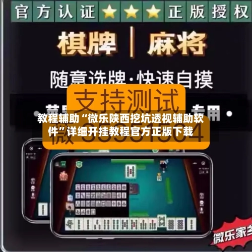 教程辅助“微乐陕西挖坑透视辅助软件”详细开挂教程官方正版下载