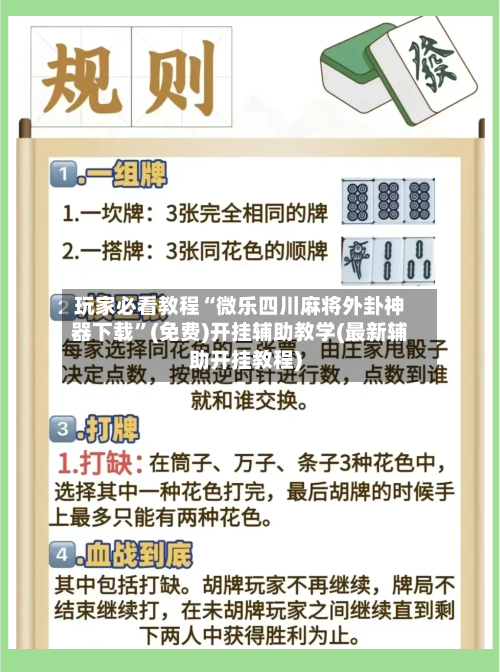 玩家必看教程“微乐四川麻将外卦神器下载	”(免费)开挂辅助教学(最新辅助开挂教程)-第2张图片