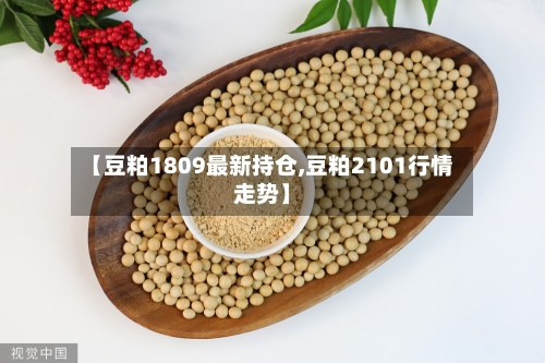 【豆粕1809最新持仓,豆粕2101行情走势】
