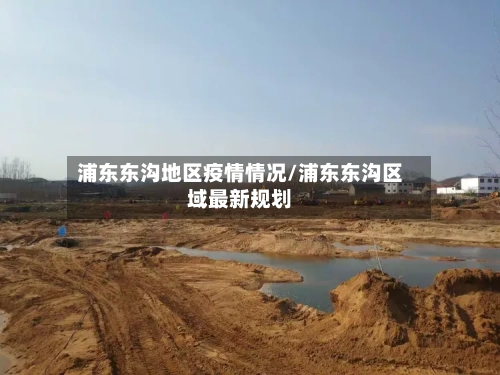 浦东东沟地区疫情情况/浦东东沟区域最新规划-第3张图片