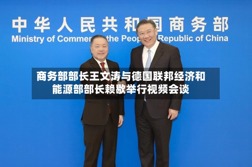 商务部部长王文涛与德国联邦经济和能源部部长赖歇举行视频会谈-第2张图片