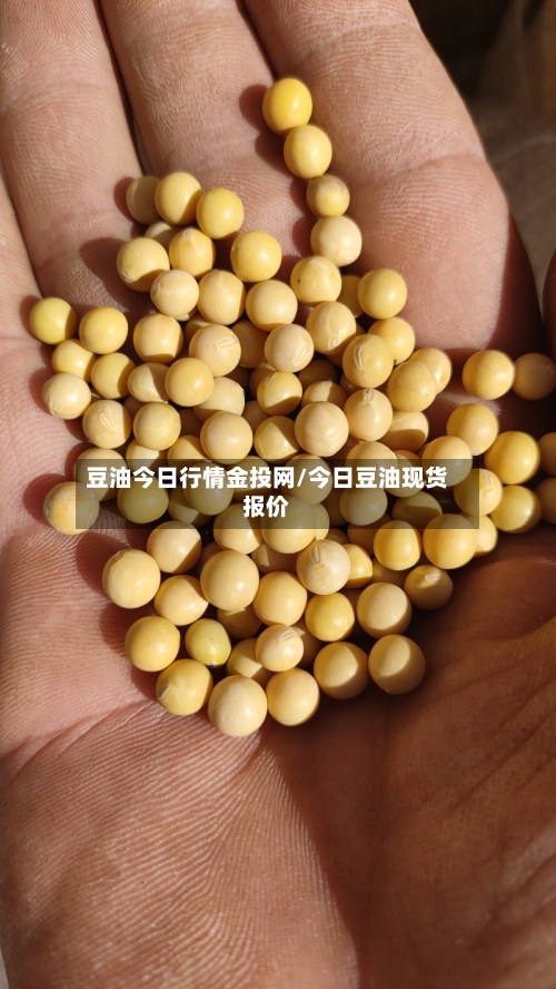 豆油今日行情金投网/今日豆油现货报价