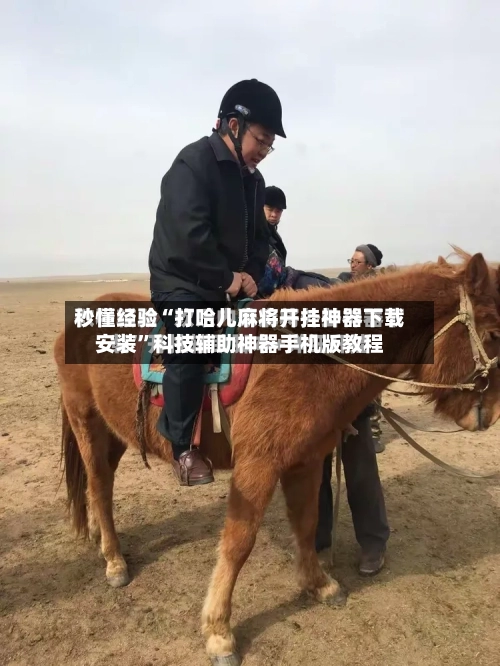 秒懂经验“打哈儿麻将开挂神器下载安装”科技辅助神器手机版教程-第2张图片