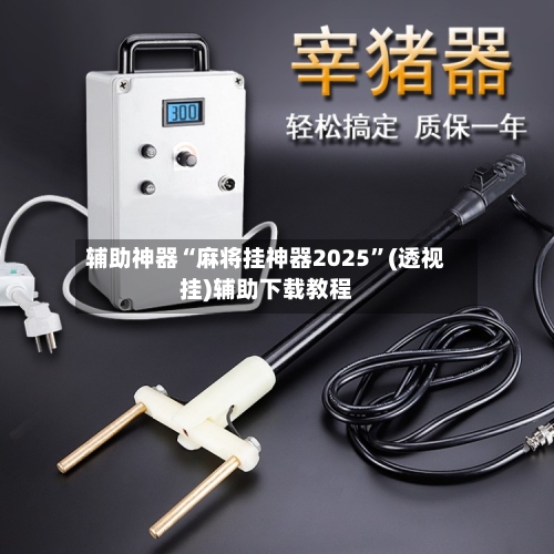 辅助神器“麻将挂神器2025”(透视挂)辅助下载教程-第2张图片