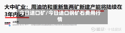 今日进口矿/今日进口钢矿石费用行情