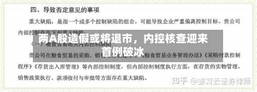 两A股造假或将退市	，内控核查迎来首例破冰-第2张图片