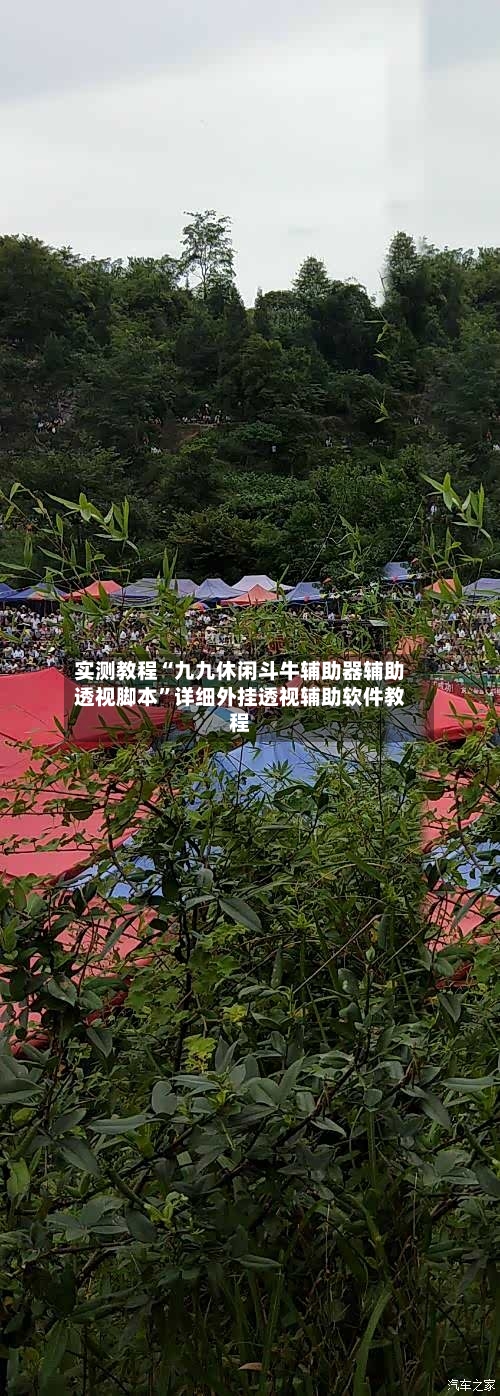 实测教程“九九休闲斗牛辅助器辅助透视脚本”详细外挂透视辅助软件教程