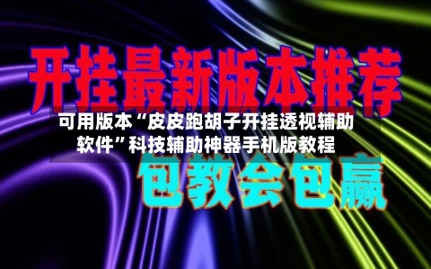 可用版本“皮皮跑胡子开挂透视辅助软件	”科技辅助神器手机版教程-第2张图片