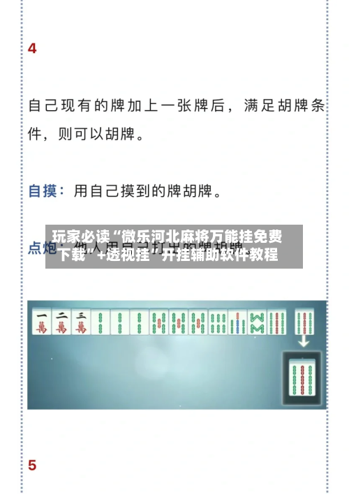 玩家必读“微乐河北麻将万能挂免费下载	”+透视挂”开挂辅助软件教程-第2张图片