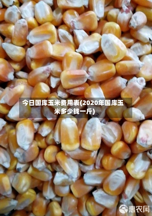 今日国库玉米费用表(2020年国库玉米多少钱一斤)-第2张图片