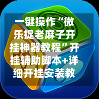 一键操作“微乐捉老麻子开挂神器教程”开挂辅助脚本+详细开挂安装教程-第3张图片
