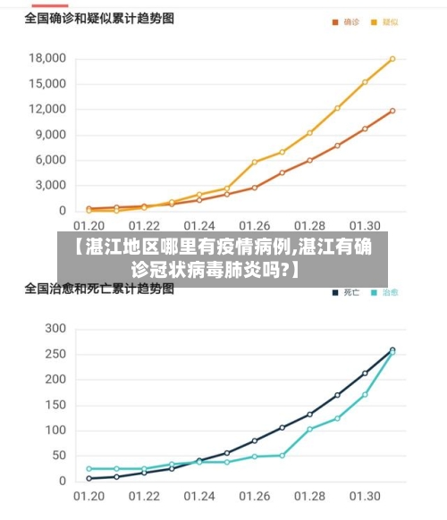 【湛江地区哪里有疫情病例,湛江有确诊冠状病毒肺炎吗?】