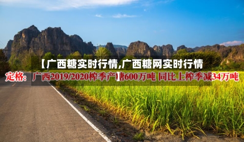 【广西糖实时行情,广西糖网实时行情】