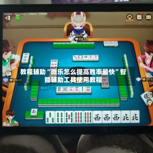 教程辅助“微乐怎么提高胜率最快”智能辅助工具使用教程-第3张图片