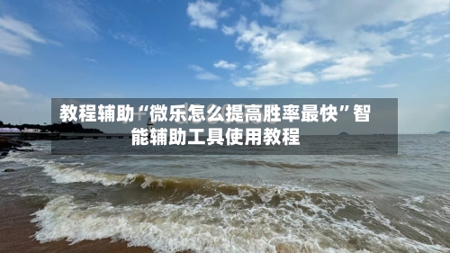 教程辅助“微乐怎么提高胜率最快”智能辅助工具使用教程-第2张图片