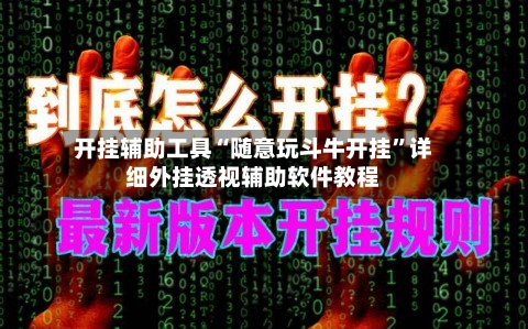 开挂辅助工具“随意玩斗牛开挂	”详细外挂透视辅助软件教程-第2张图片